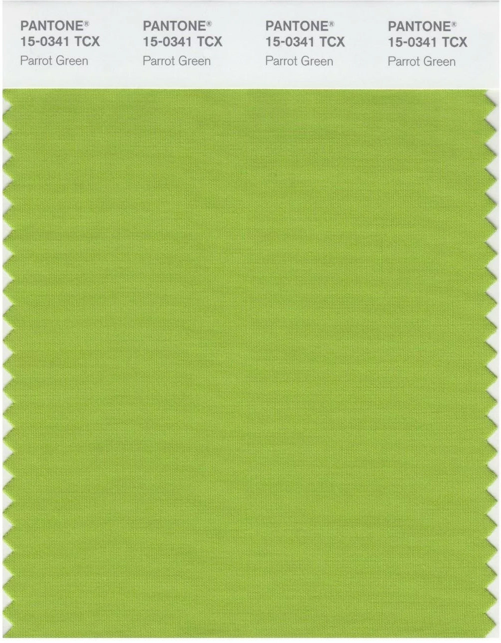 Parrot Green Bubble Chiffon Scarf