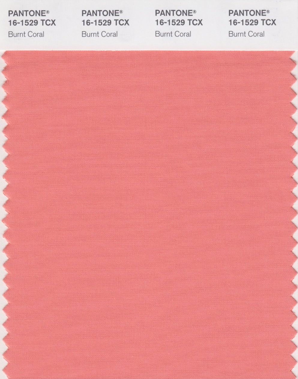 Burnt Coral Bubble Chiffon Scarf