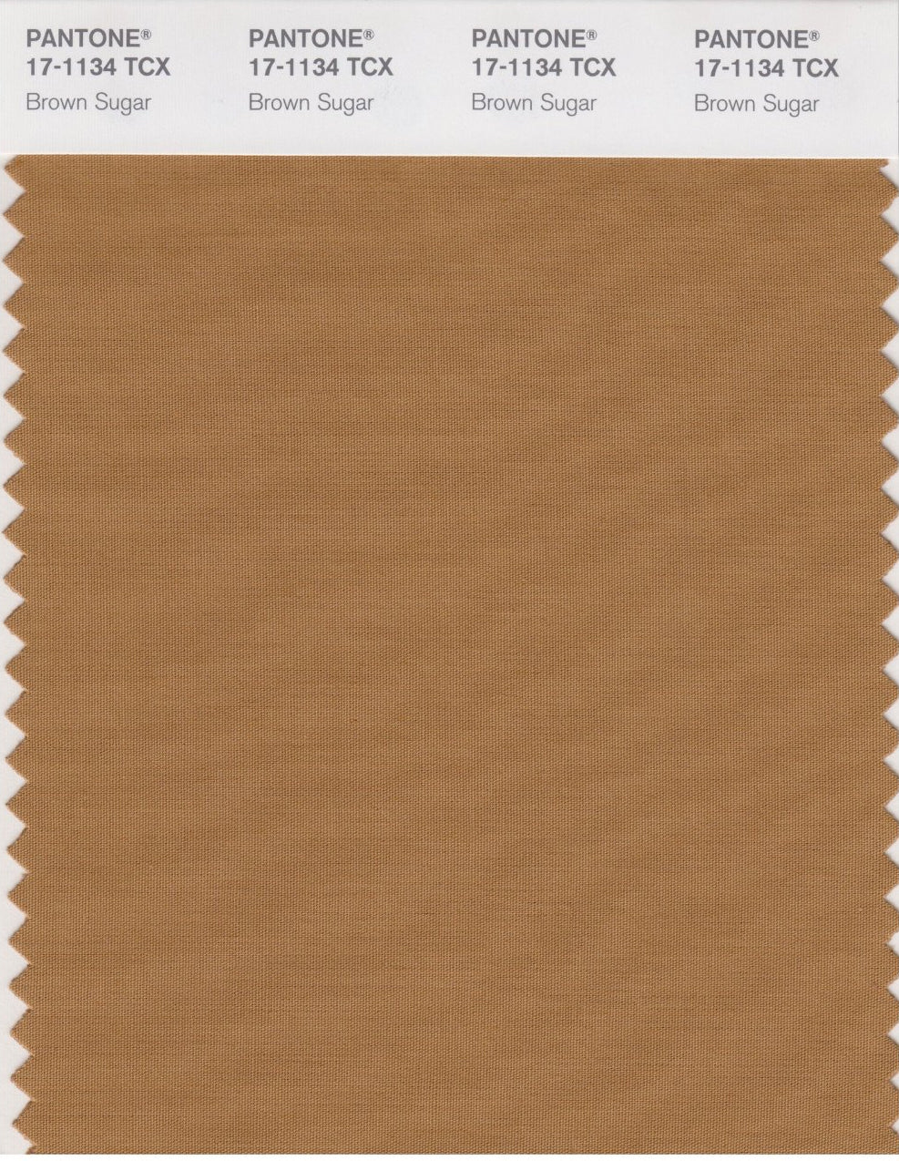 Golden Brown Bubble Chiffon Scarf