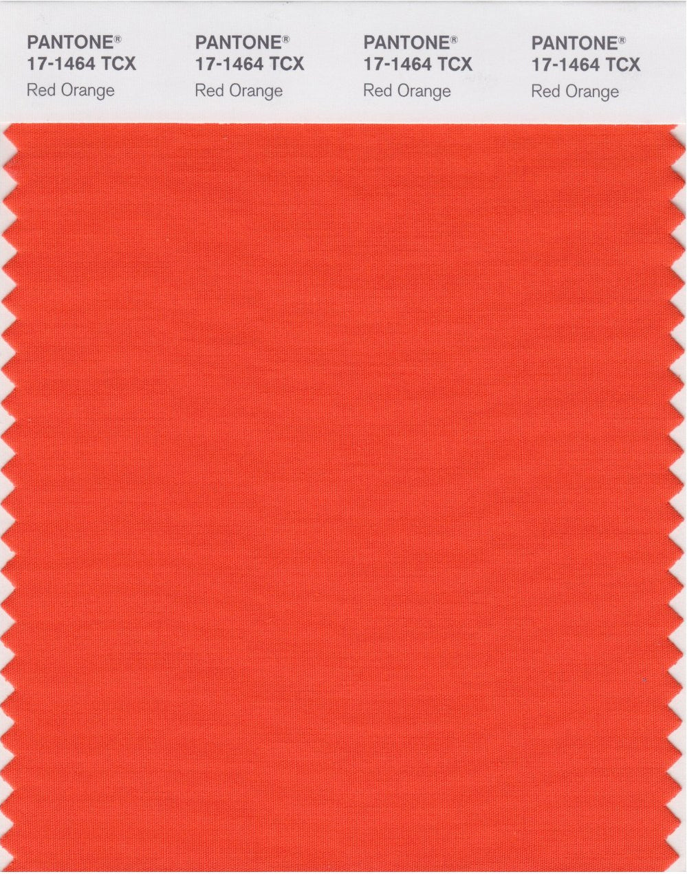 Burnt Orange Bubble Chiffon Scarf