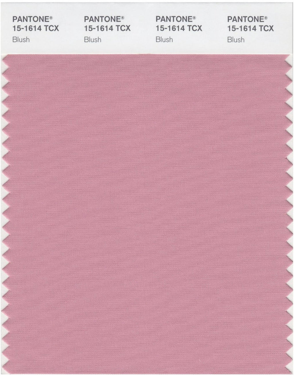 Blush Pink Bubble Chiffon Scarf