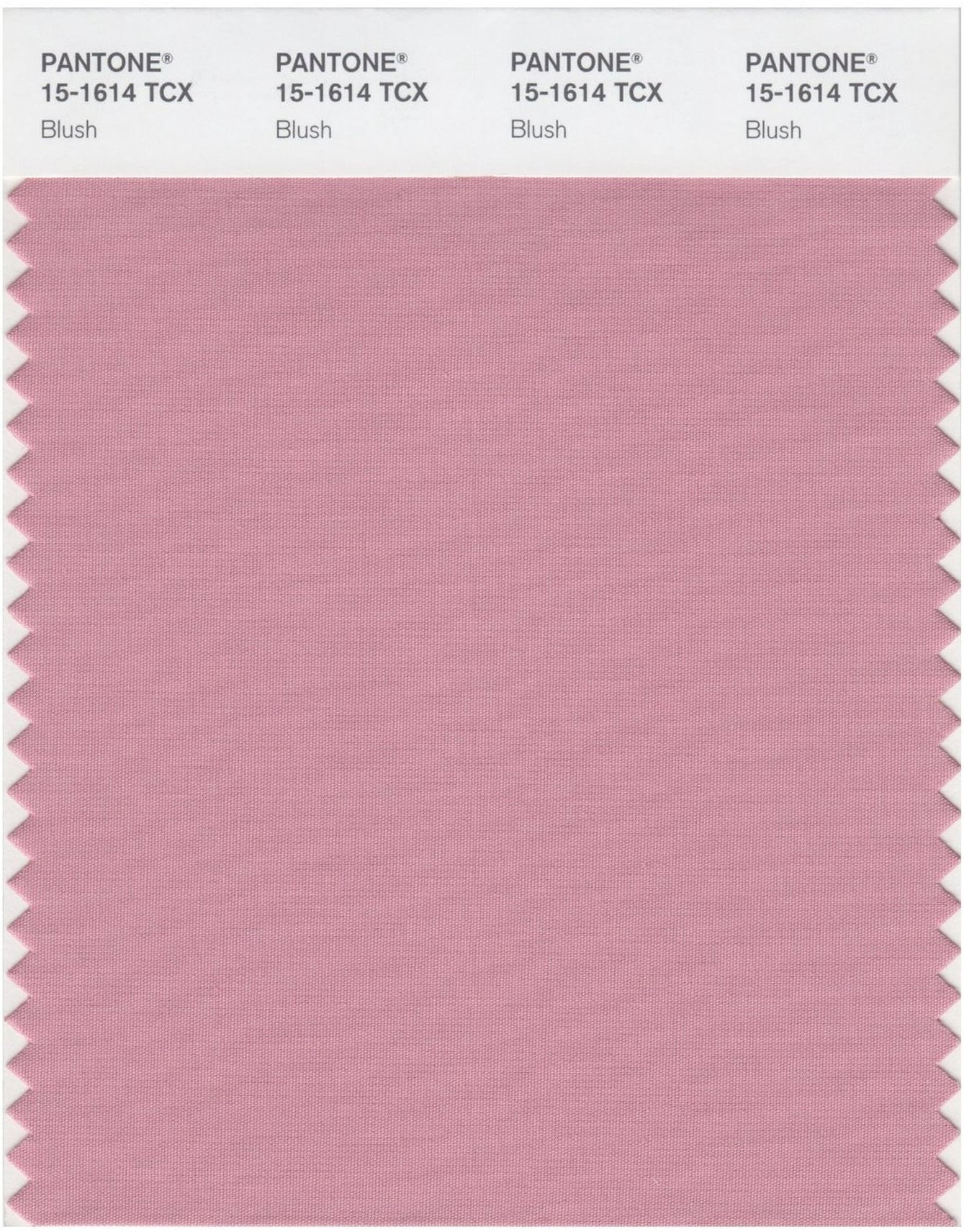 Blush Pink Bubble Chiffon Scarf