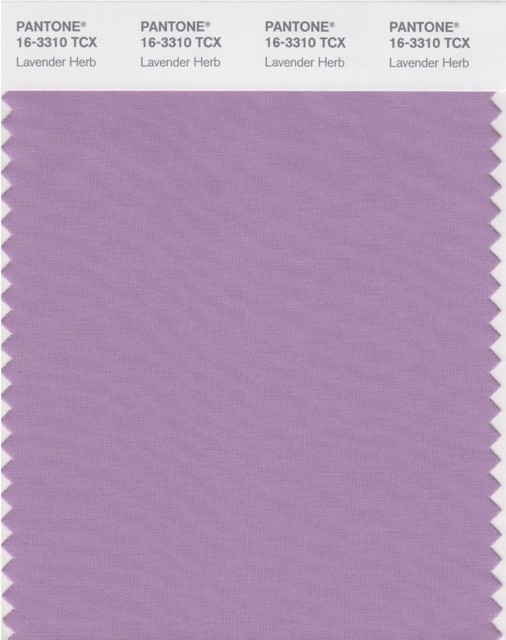 Dark Lilac Bubble Chiffon Scarf