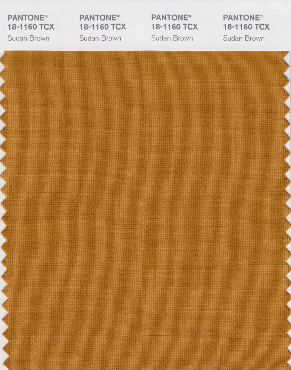 Camel Brown Bubble Chiffon Scarf