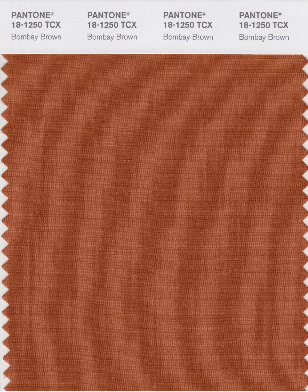 Mid Brown Bubble Chiffon Scarf