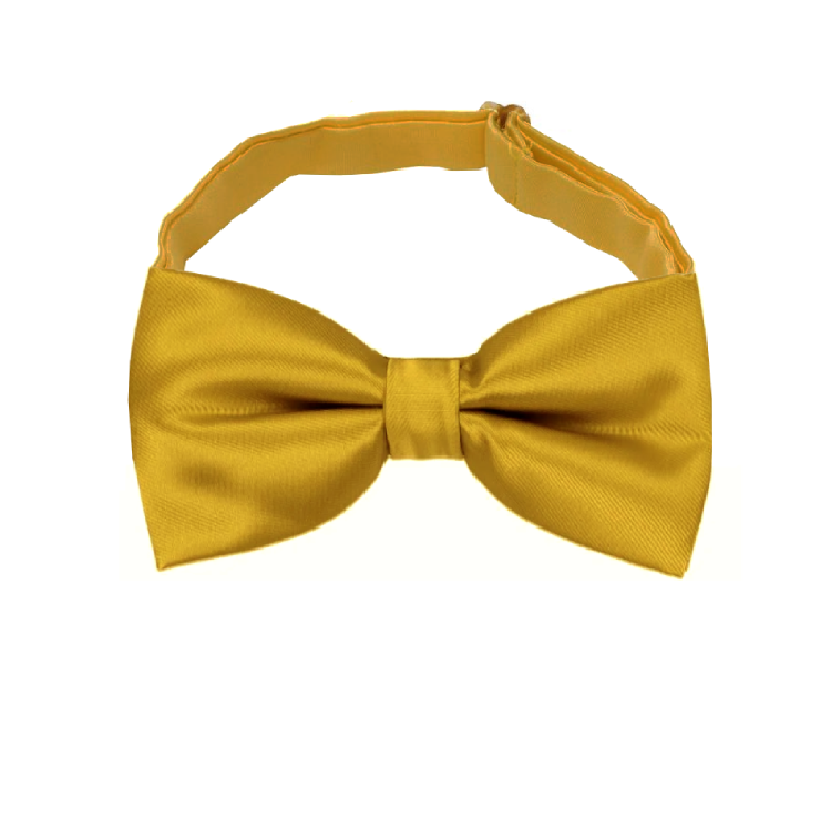 Classic Gold Boys Bow Tie